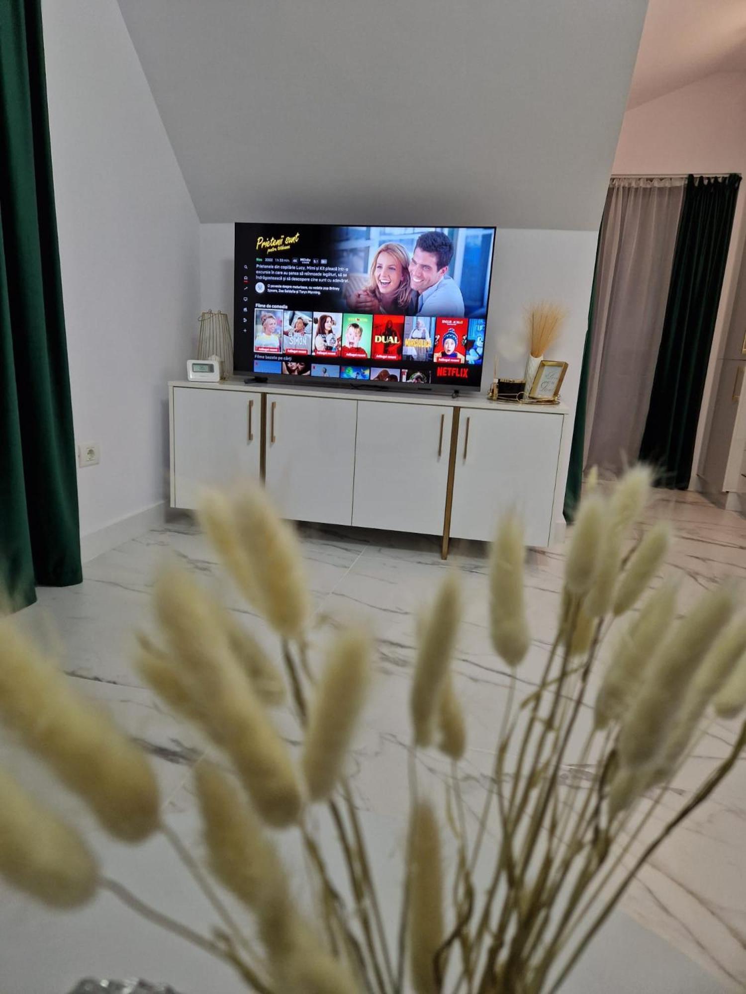 Gold Tag Apartament 티미쇼아라 외부 사진