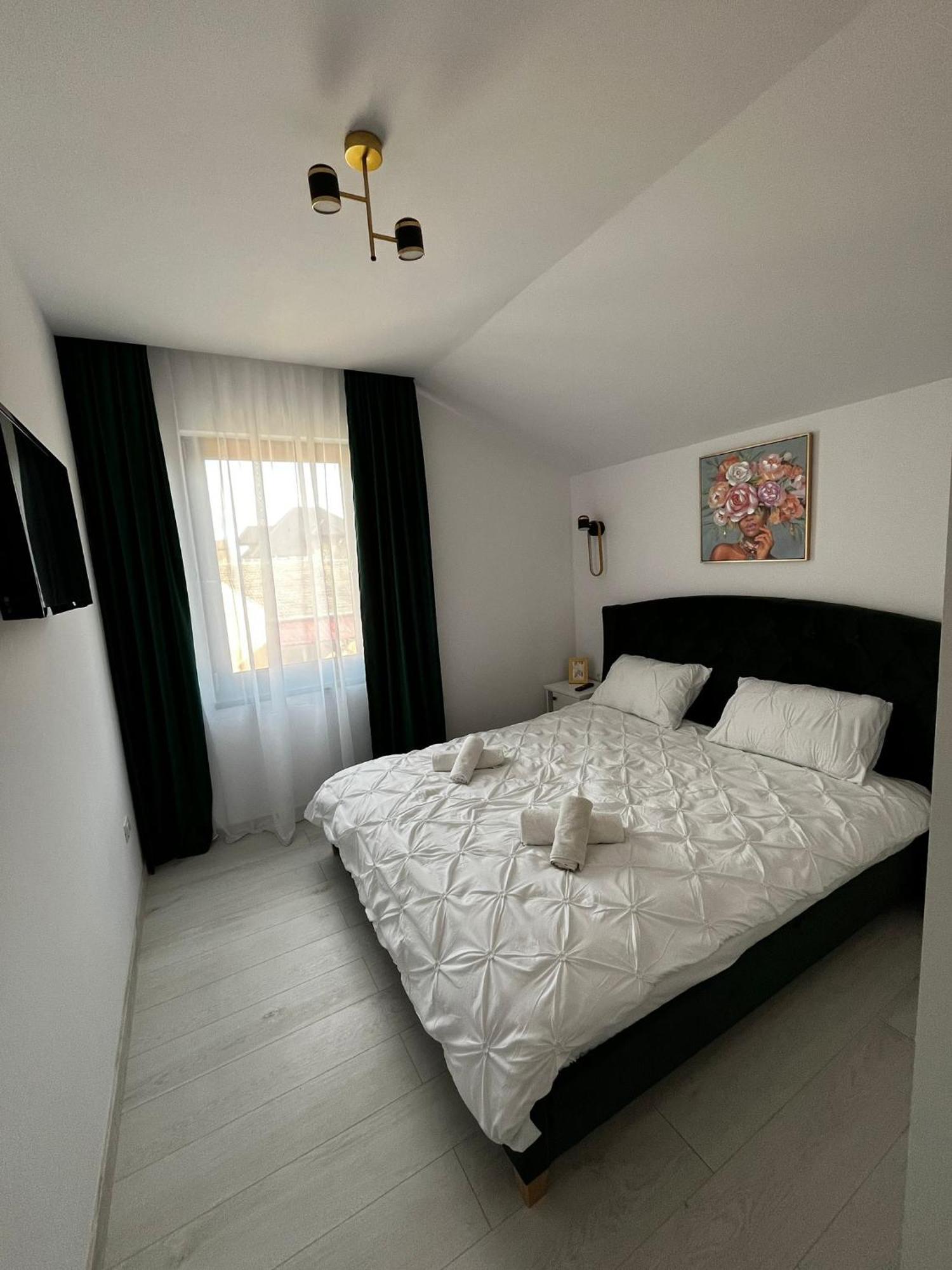 Gold Tag Apartament 티미쇼아라 외부 사진